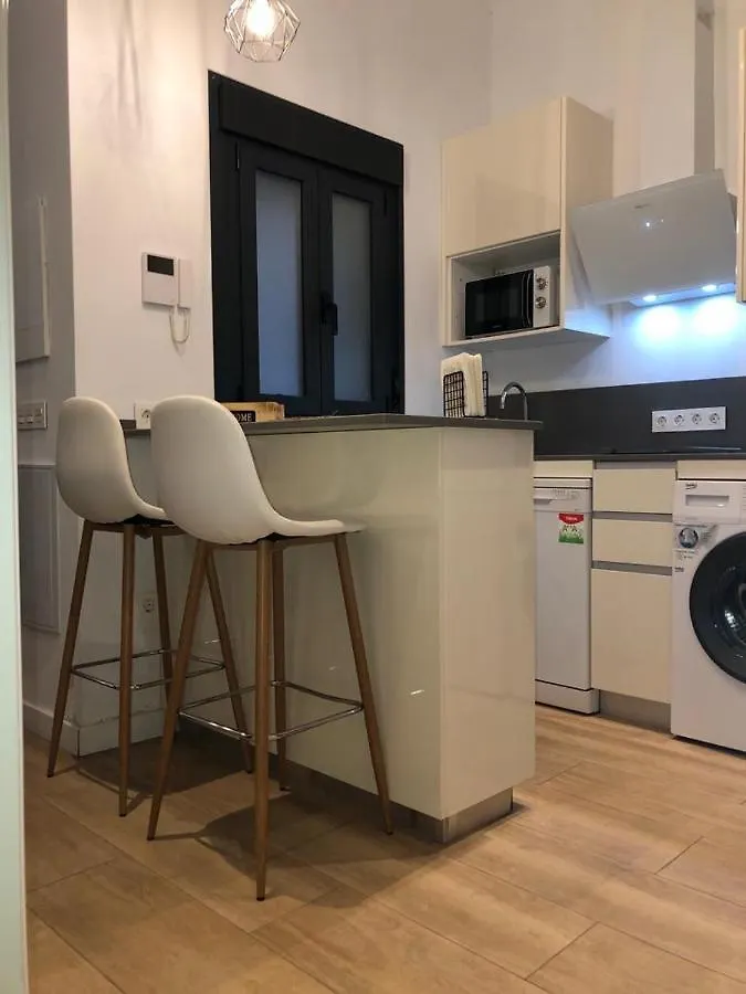 Apartment Estudio Centrico En Punonrostro Seville Spain