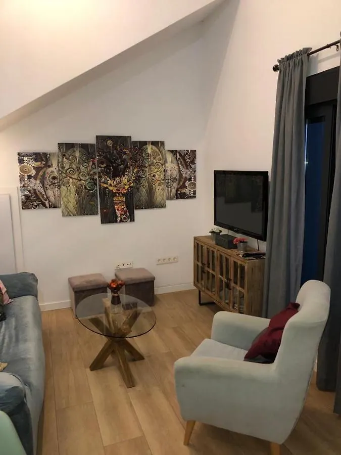 Estudio Centrico En Punonrostro Seville